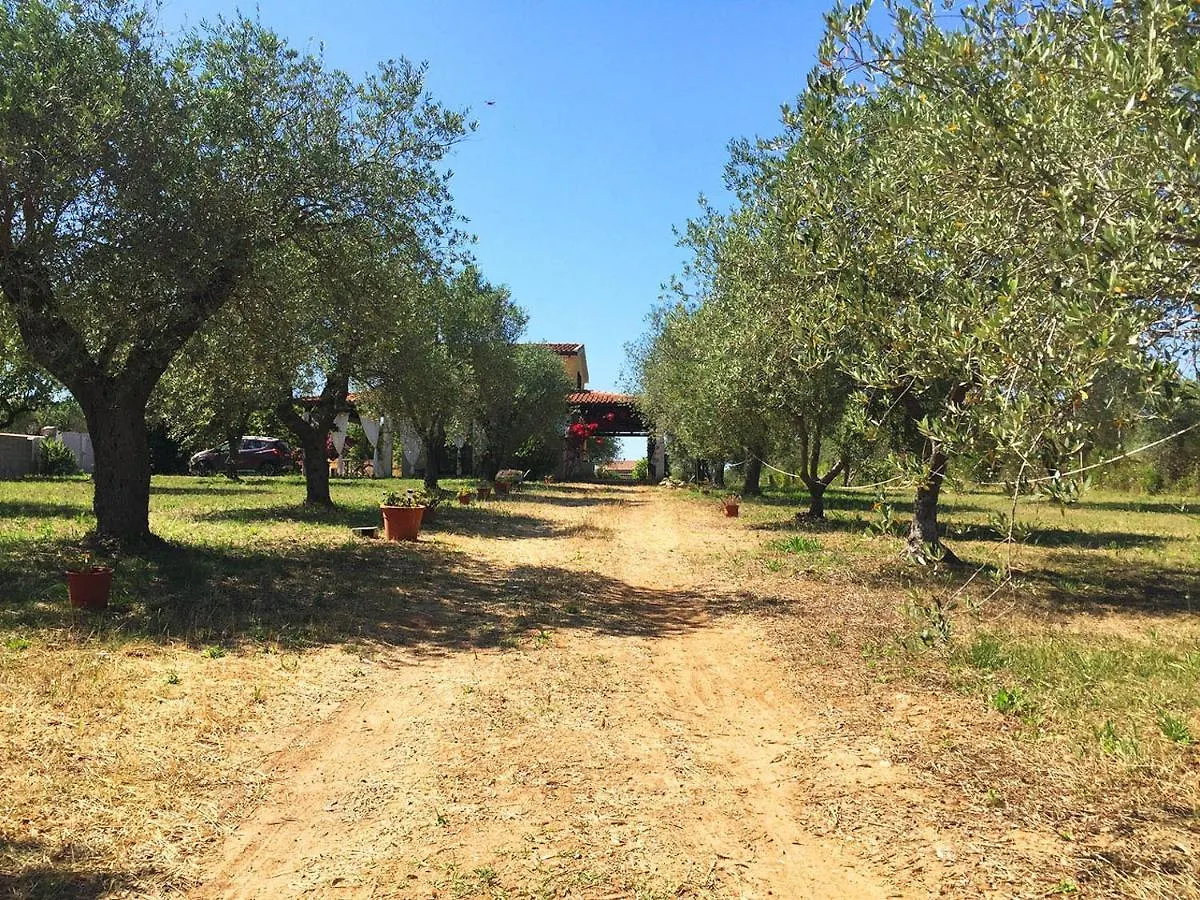 אלגהרו Residenza Gli Ulivi, Villa Privata Con Ampio Giardino E Uliveto